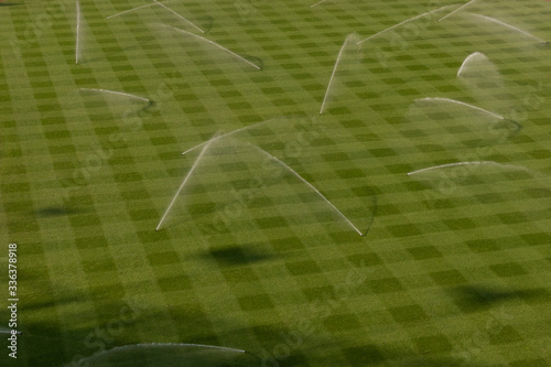 Yankee Stadium Grass photo