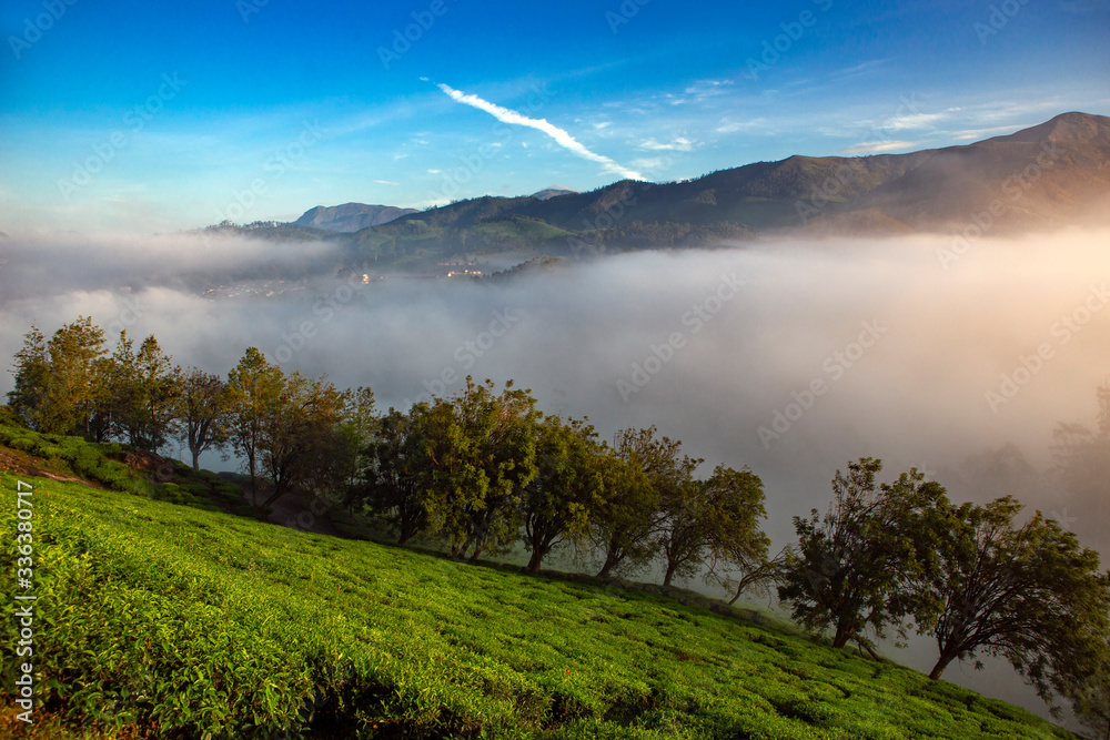 Obraz premium Misty morning from Munnar,Kerala- landscape of misty mountain,hill station of Kerala