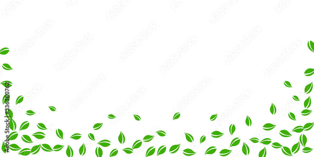 Falling green leaves. Fresh tea random leaves flyi Falling green leaves. Fresh tea random leaves flyi