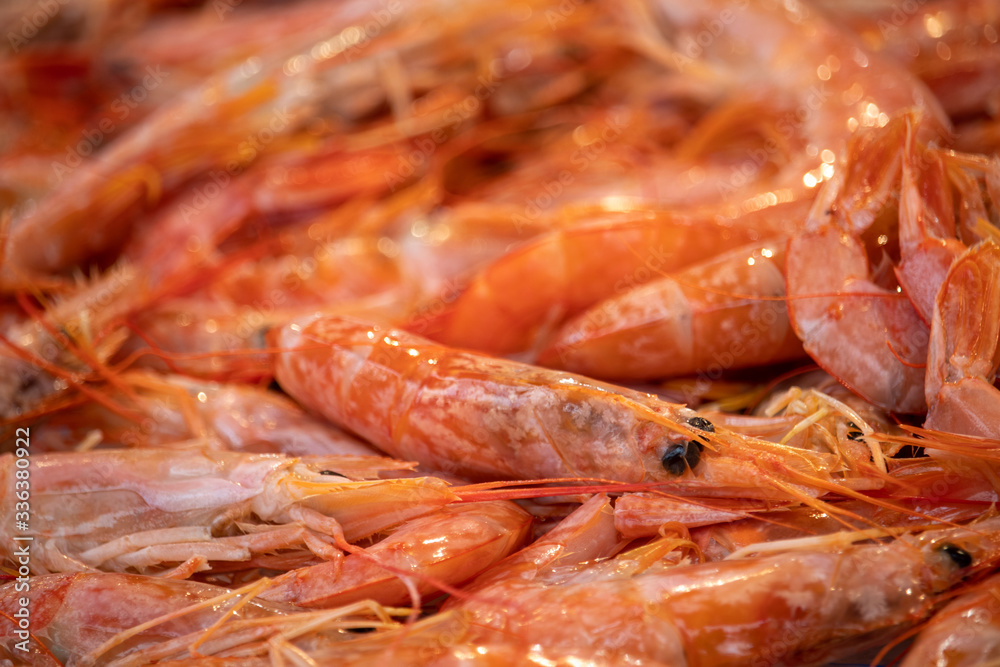 fresh shrimps on the ice fresh shrimps on the ice