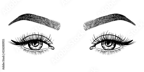 Line sketched woman eyes with long lashes and eyebrows, vector illustration.