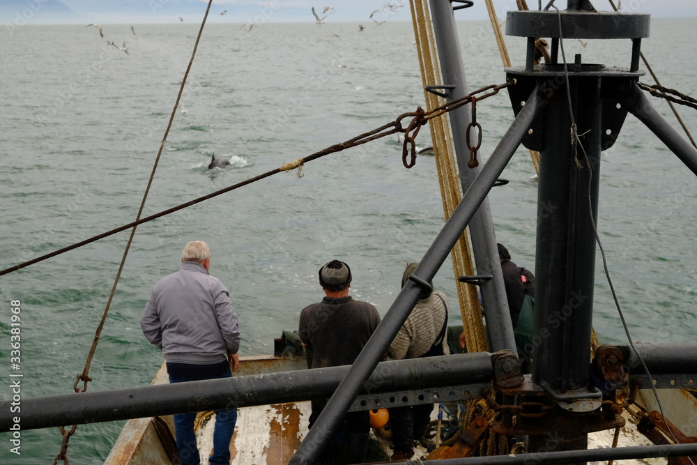 Fishermen at work. Sailors pull the trawl with the catch onto the deck of the seiner. Caught fish inside the net. Fishing tackle. Black Sea. Mainly cloudy.