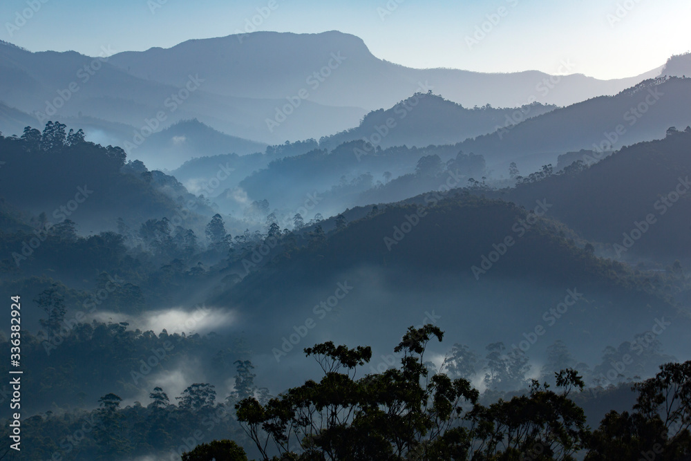 Misty morning from Munnar,Kerala- landscape of misty mountain,hill station of Kerala