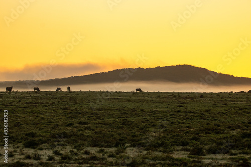 Sonnenuntergang im Addo Elephant National Park