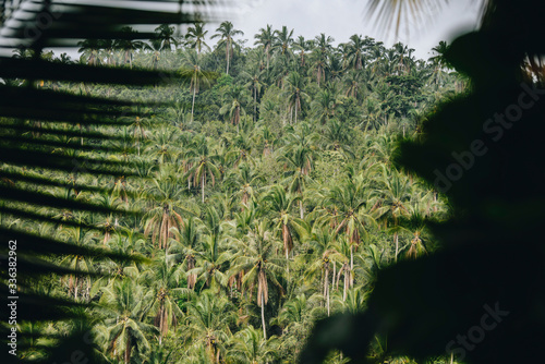 Bali  Indonesia