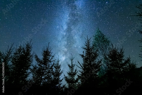 Fototapeta Naklejka Na Ścianę i Meble -  Starry night above the forest showing the milky way
