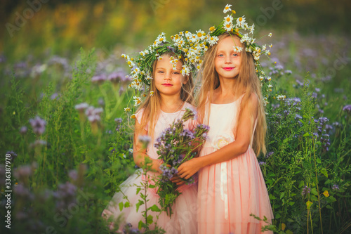 Portrait of a beautiful two little girl wearing a crown of chamomile