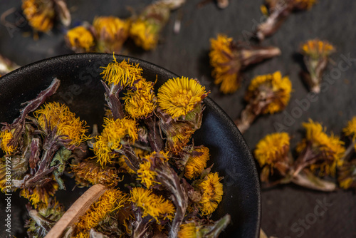 Quadro su tela dry dried flower bud heads Tussilago farfara coltsfoot close up of styled studio
