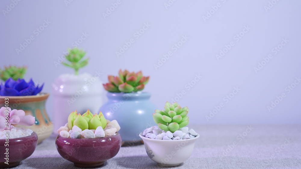 Depth of field effect of succulent plants in colorful flower pots on the table