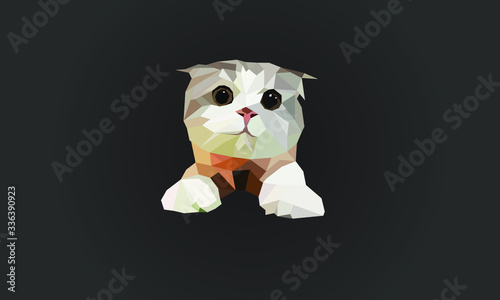low poly cute cat vector illustration.