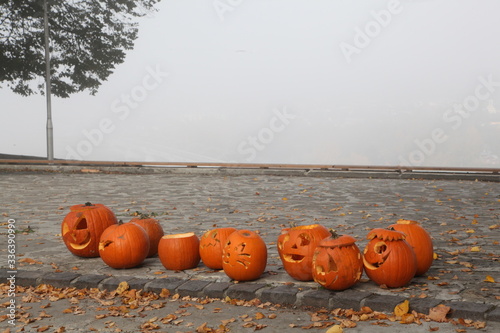 halloween pumpkins on a wooden fence