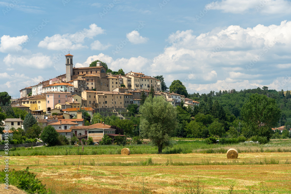 Summer landscape near Monterchi, Tuscany, Italy