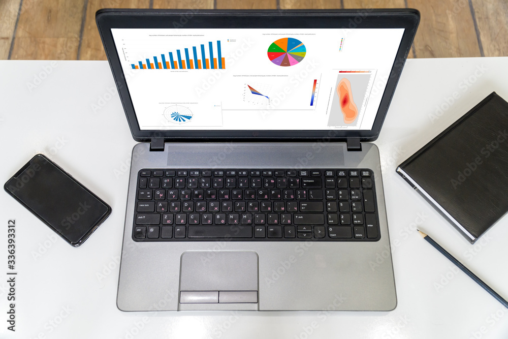 CEO looking at BI charts on a laptop - home office concept CEO looking at BI charts on a laptop - home office concept