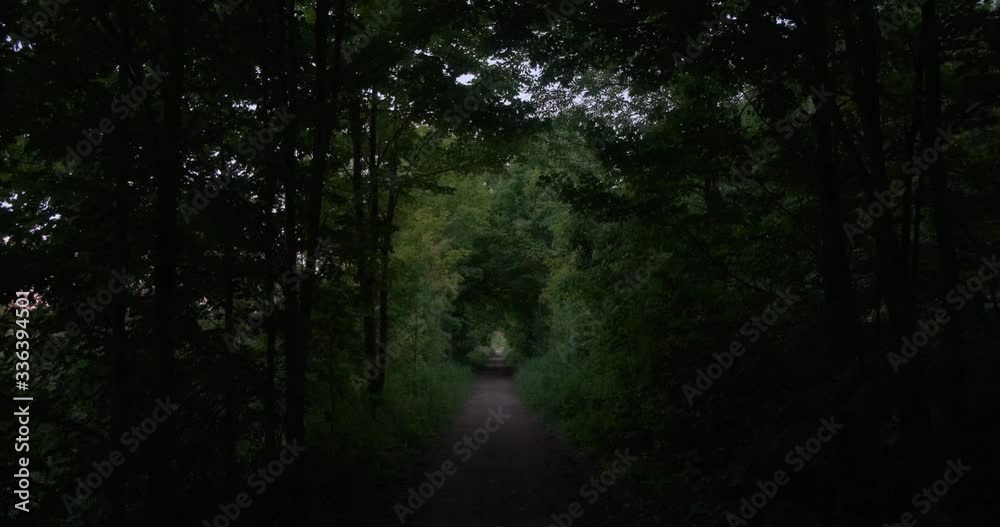 Walking Through A Dark Path Walking Through A Dark Path