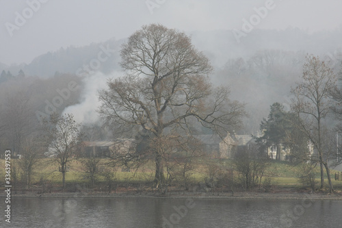 misty morning on the lake