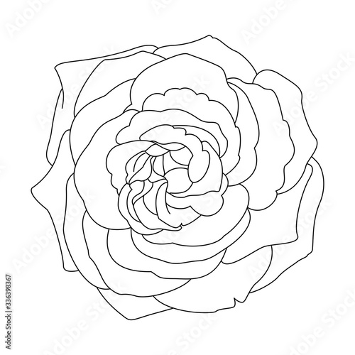 vector rose flower clip art coloring book page