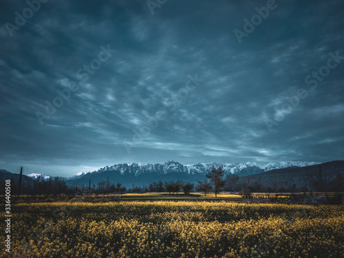 Fototapeta Naklejka Na Ścianę i Meble -  Mustard Fields, Mountains and Clouds. 