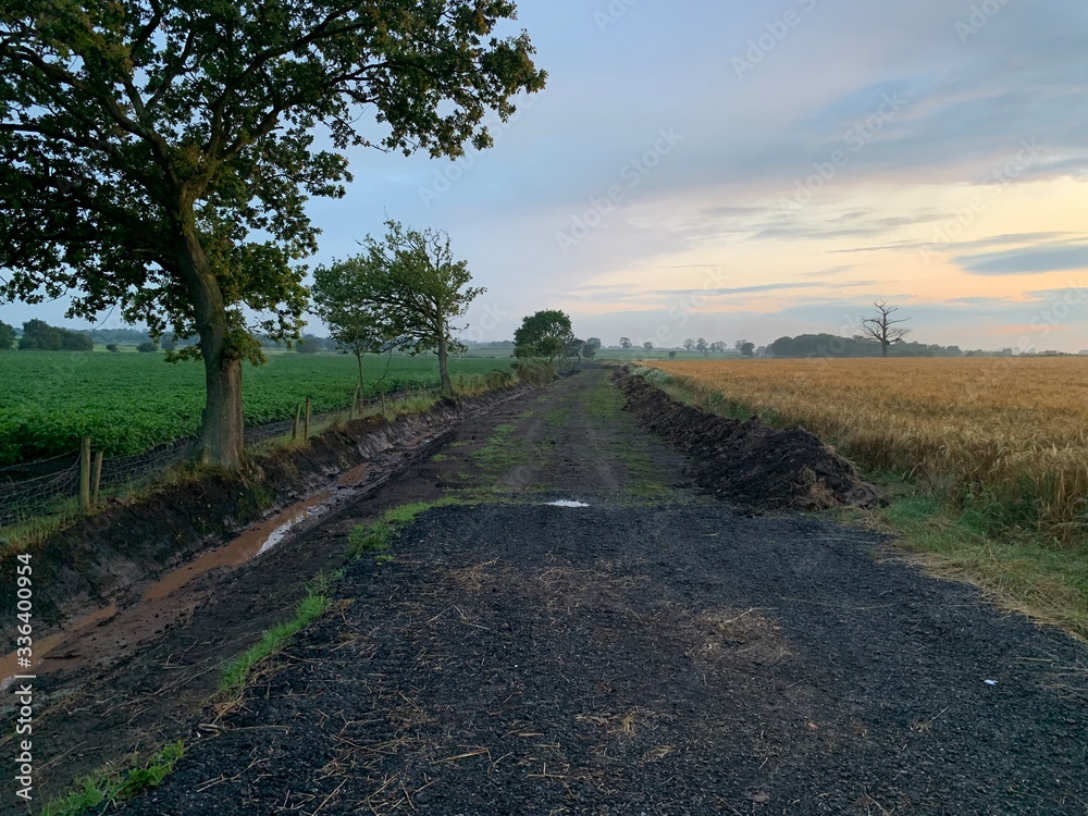 Rural track with farmland