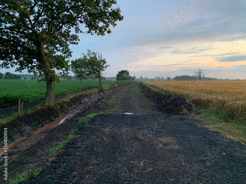 Rural track with farmland