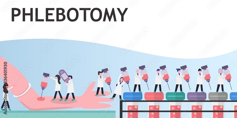 Tiny lab technicians collect blood specimen from patient and transfer to test tubes. Concept phlebotomy and medical science character vector.