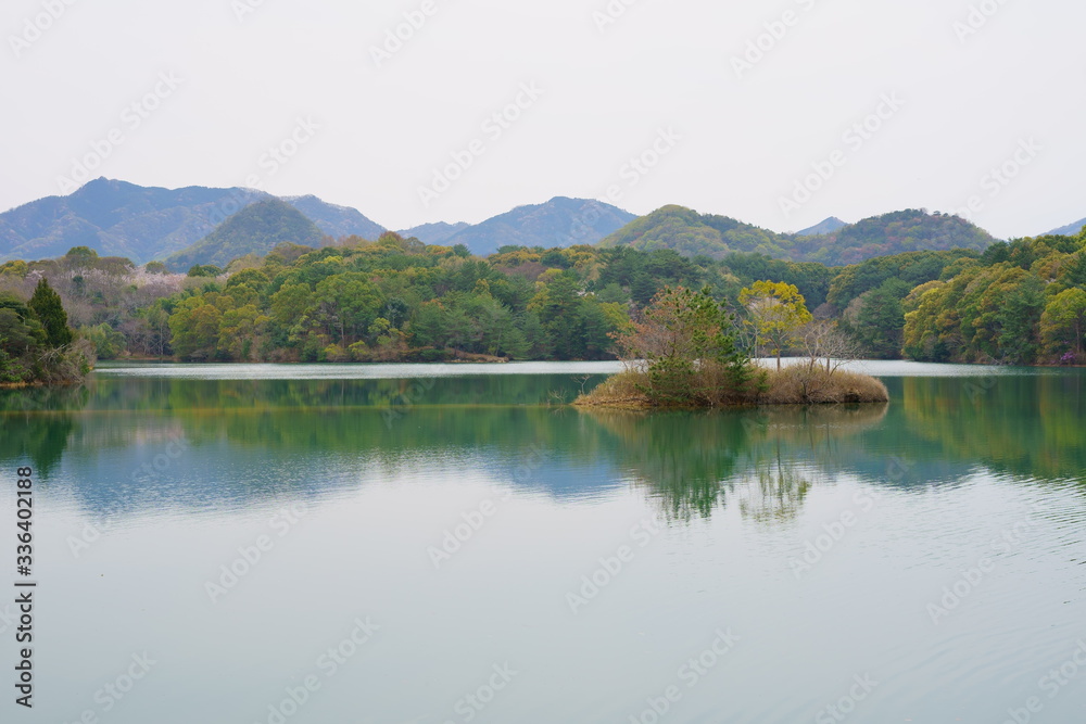 春のため池(香川県高松市)