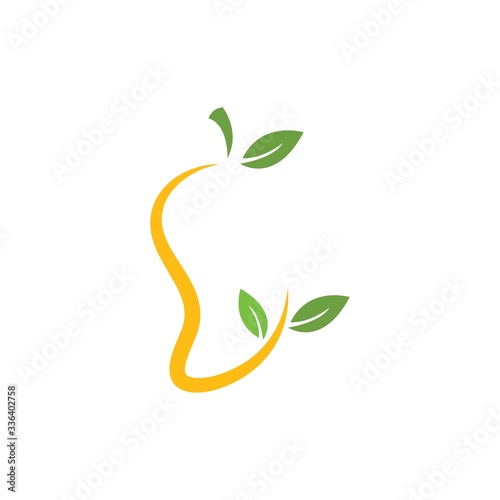 mango fruit vector illustration