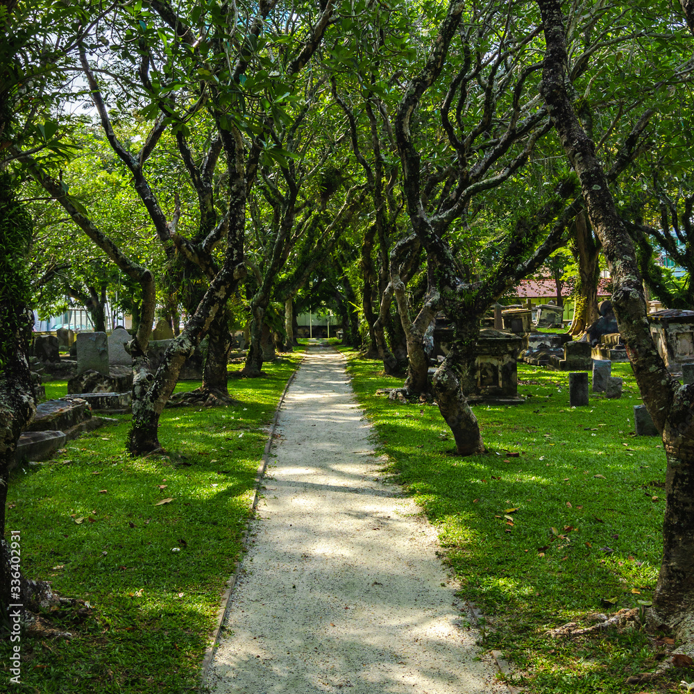 Obraz premium old park, old christian cemetery, in the tropics, penang