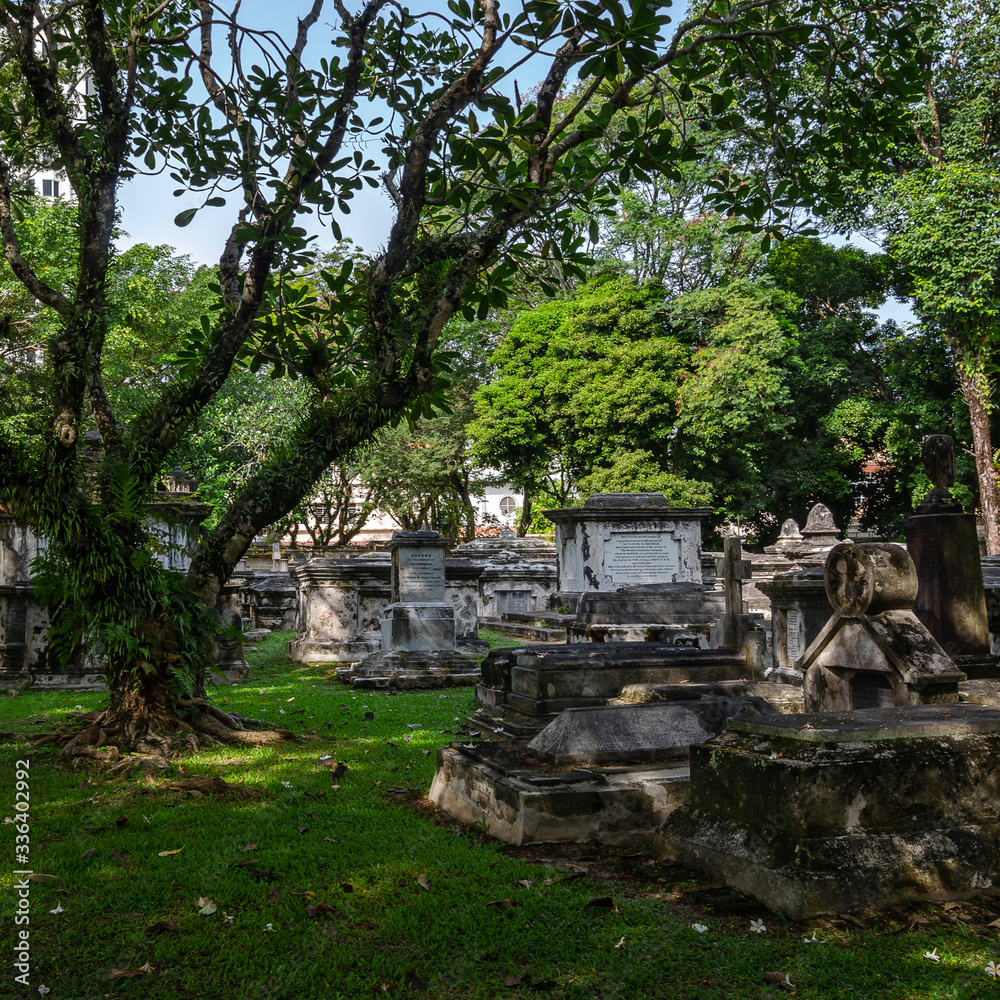 old park, old christian cemetery, in the tropics, penang