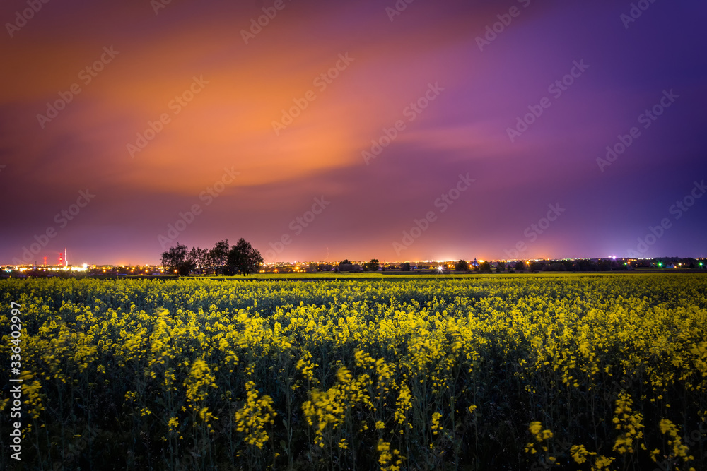 Obraz premium sunset over the field and city