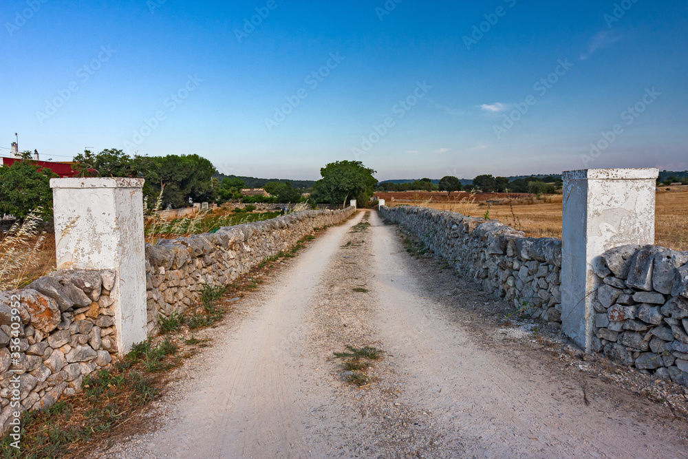 A dirt road in the Apulian countryside in Italy.