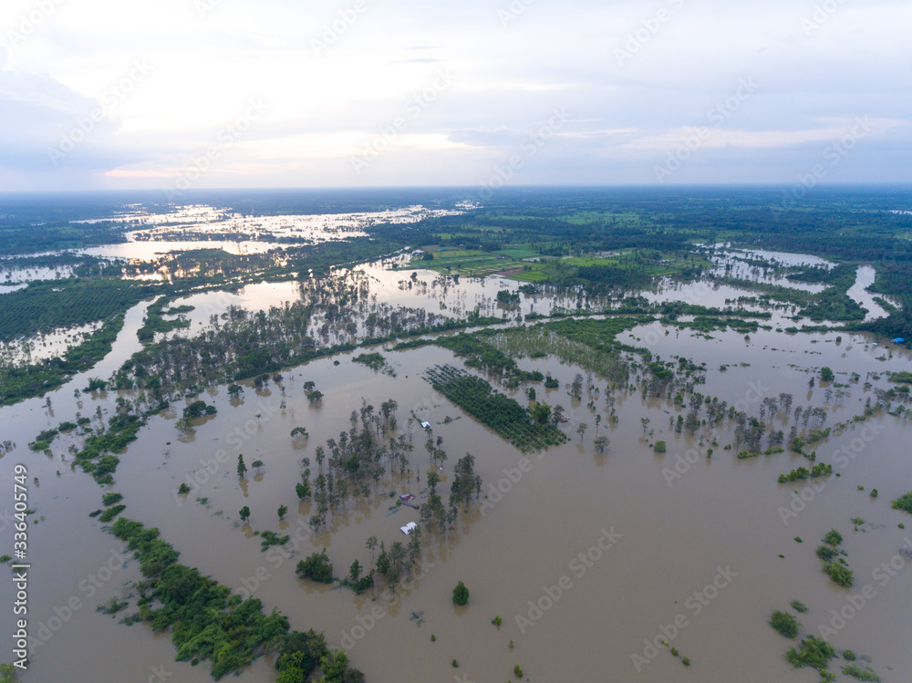 Fototapeta premium Sakonnakhon, Thailand - August 3, 2017 (Ban kang tha lap village,Kusumal district,Sakonnakhon) : Flood waters overtake a house and rice field in northeast of Thailand from above view by drone