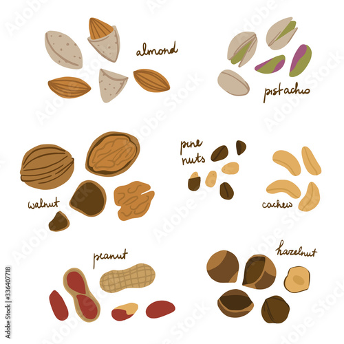 Cartoon nuts set - peanuts, hazelnut, almond, pistachio, cashew, walnut and pine nuts Vector illustration