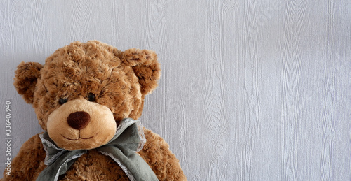 Soft brown bear. Children's toy