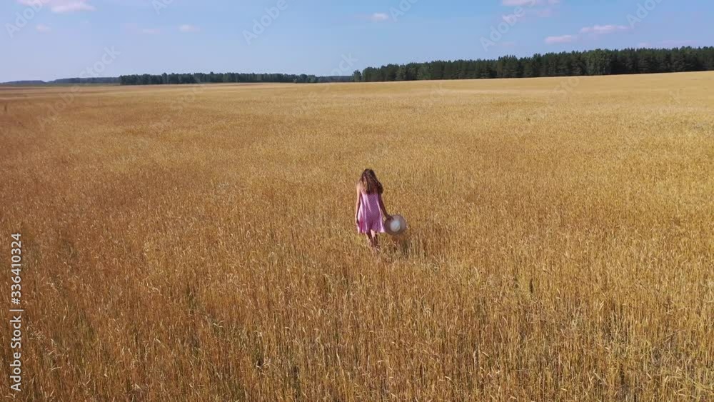 Beautiful summer day, blue sky, a lot of sun and a girl spinning in a wheat field Beautiful summer day, blue sky, a lot of sun and a girl spinning in a wheat field