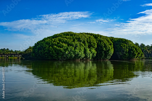 Mangrove and lake ,Kadalundi Kerala
