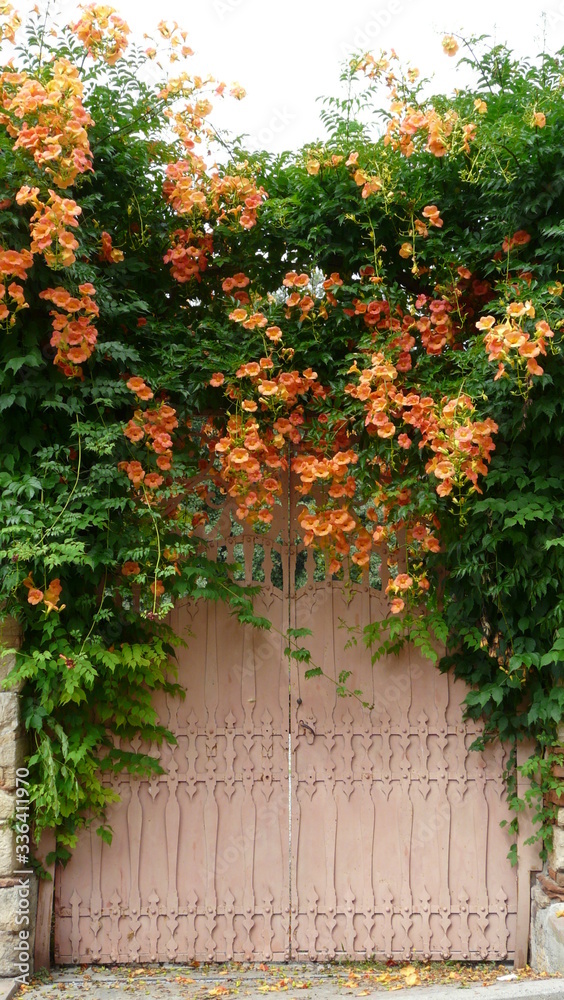 Naklejka premium Blühten