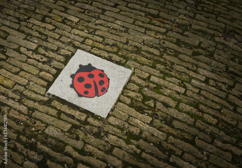 A ladybird on a tile is the dutch sign of senseless violence photo