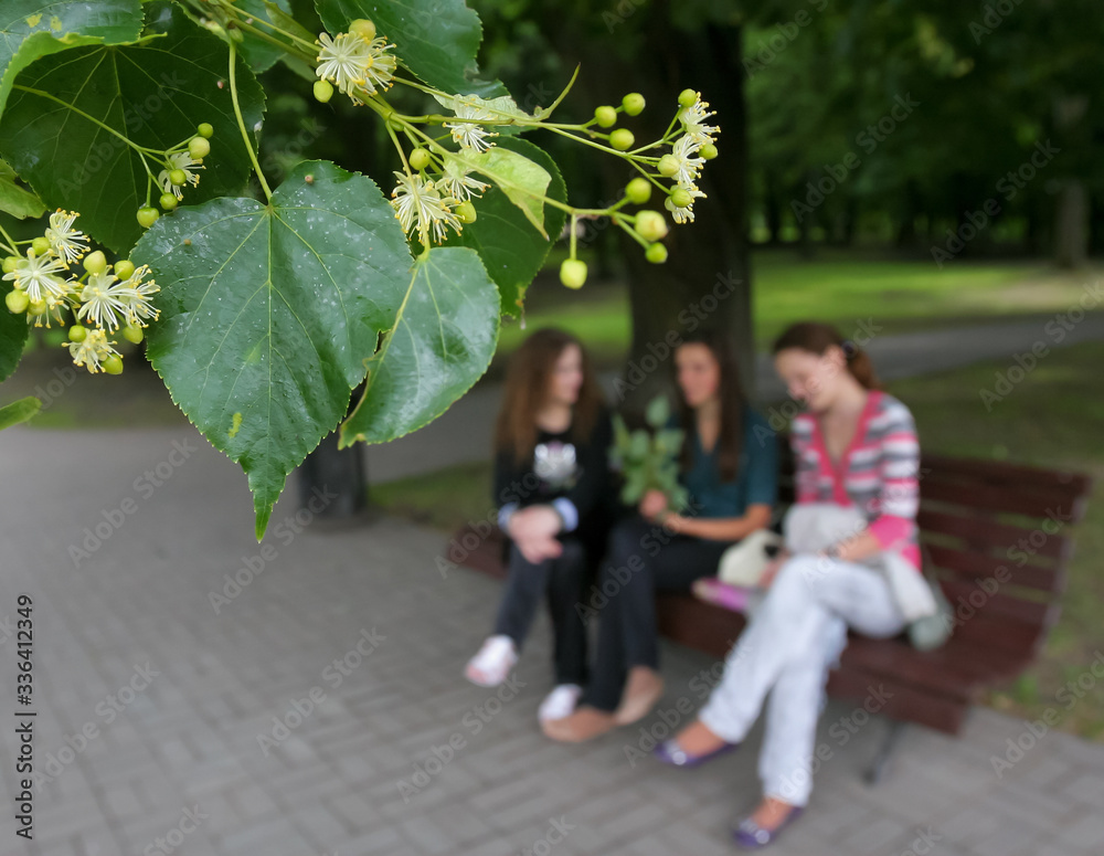 Young girls have a rest in the park during the flowering of linden trees Young girls have a rest in the park during the flowering of linden trees