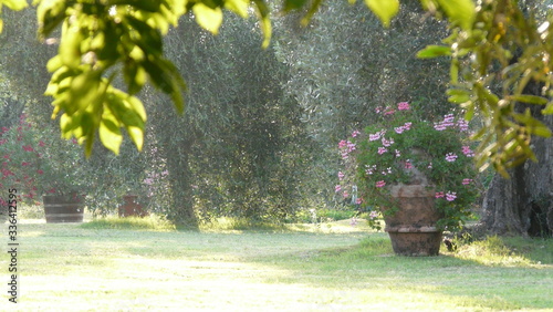 Natur