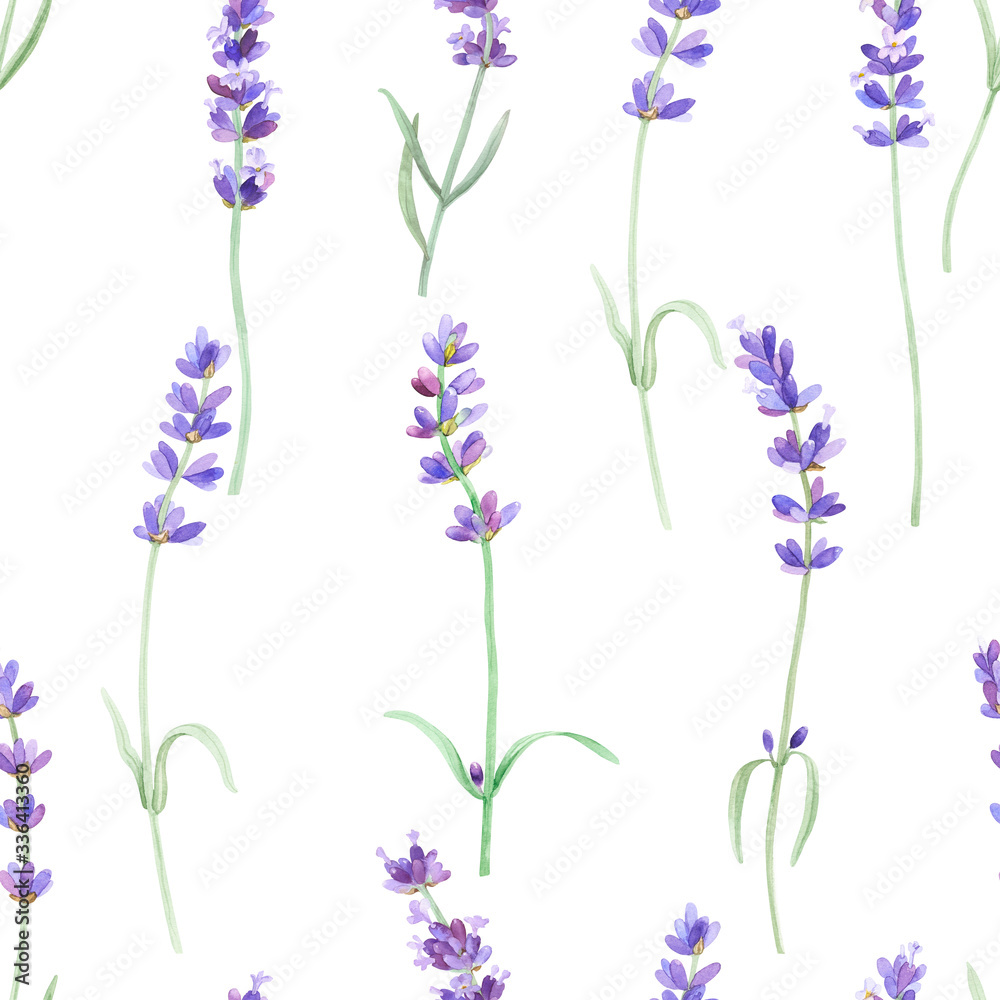 Watercolor pattern with lavender on isolated white background, watercolor hand drawing. Fabric wallpaper print texture. Stock illustration.