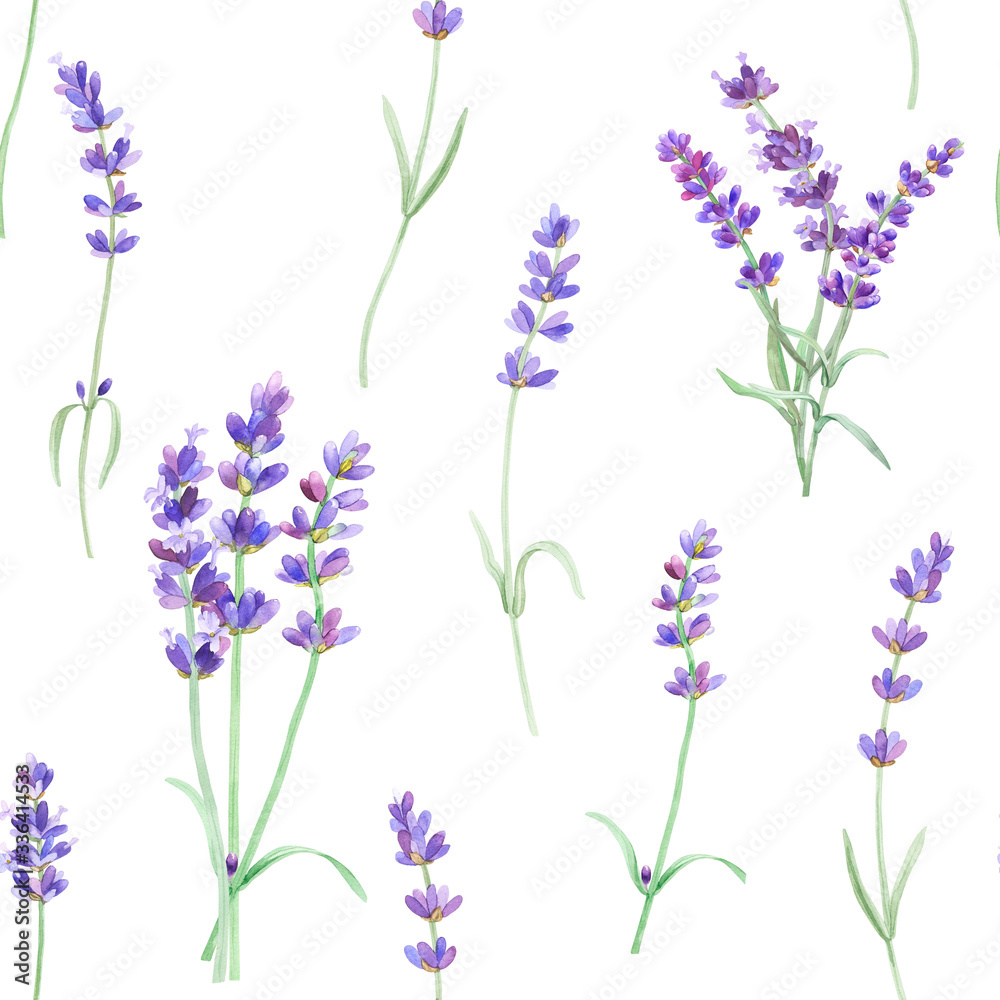 Fototapeta premium Watercolor pattern with lavender on isolated white background, watercolor hand drawing. Fabric wallpaper print texture. Stock illustration.