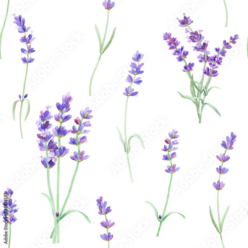 Watercolor pattern with lavender on isolated white background, watercolor hand drawing. Fabric wallpaper print texture. Stock illustration. © Maya