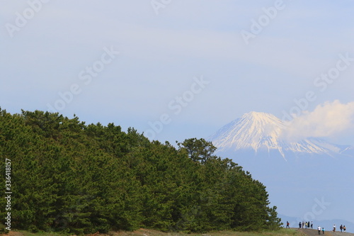三保の松原と富士山