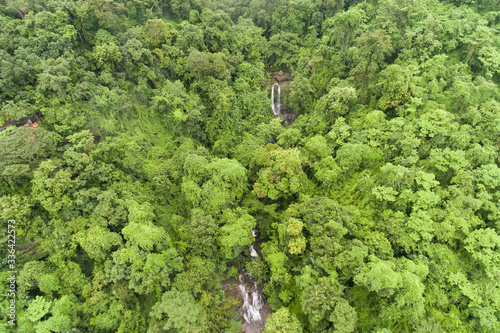 Aerial top view green forest for background