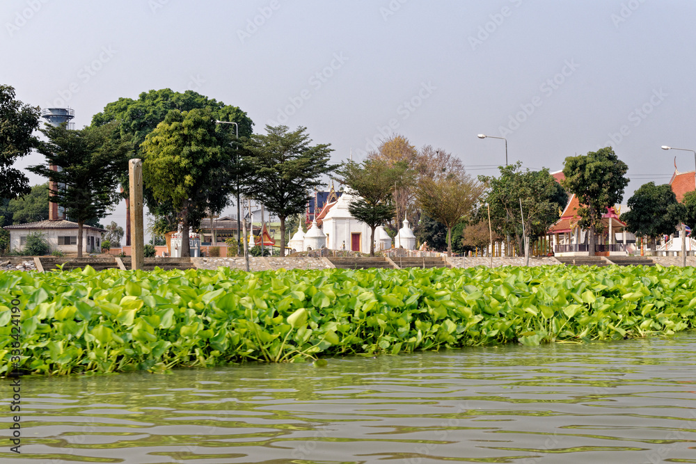 Fototapeta premium Temple along the Chao Phraya River