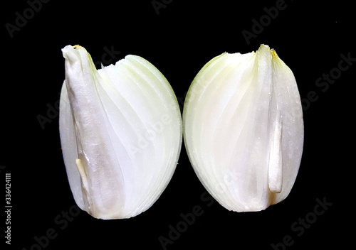 onion slices isolated on a black bakgrpound