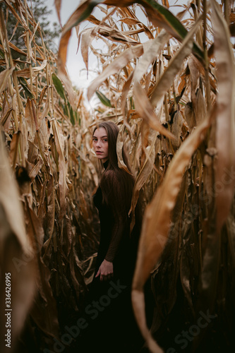 Young woman walking in corn field