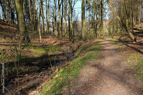 Idyllischer Wanderweg am Grütebach im Frühling bei Sonnenschein in Oerlinghausen bei Bielefeld am Hermannsweg im Teutoburger Wald in Ostwestfalen-Lippe photo