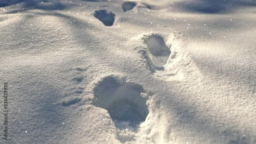Closeup of footprints on the snowy ground in sunlight, shadows flowing on snow Closeup of footprints on the snowy ground in sunlight, shadows flowing on snow