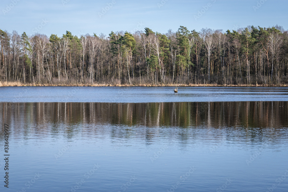View on the Torfy Lake reserve located near Karczew town in Masovian Landscape Park, Poland